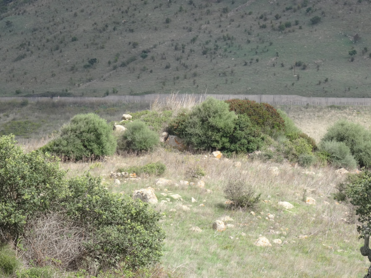 Click for the gallery page to add comments and vote (PID:289576) Sa Coiada Noa Protonuraghe