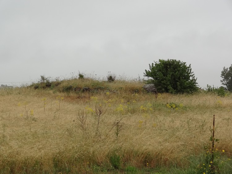 S'Arriorgiu Nuraghe