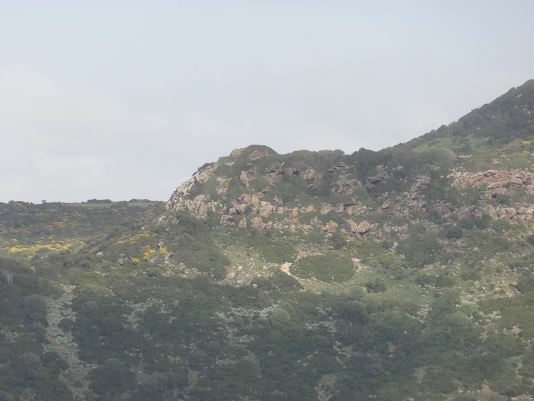 Franzesu Nuraghe