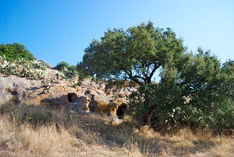 Click for the gallery page to add comments and vote (PID:111413) Sas Concas Domus de Janas