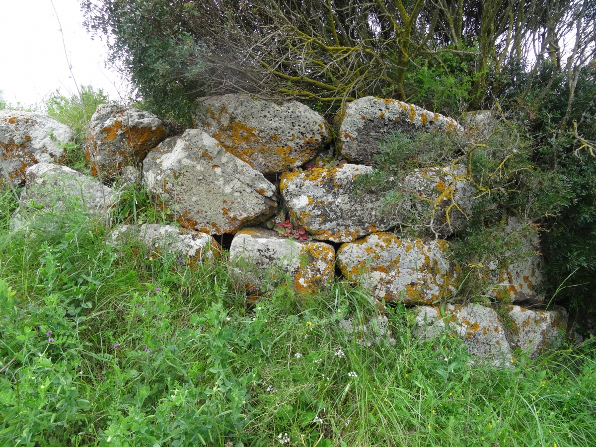 Click for the gallery page to add comments and vote (PID:290075) Pranu Aidu Nuraghe