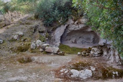 Pani Loriga