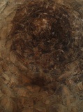 Losa Nuraghe