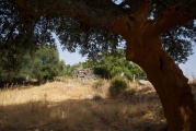 Abbagadda Nuraghe  - PID:91756