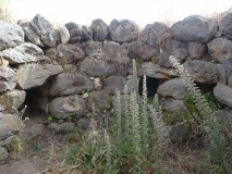Alvu Nuraghe (Pozzomaggiore)