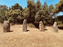Biru 'e Concas Allineamenti