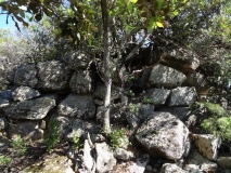 Arcu Pintau 2 Nuraghe