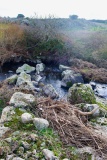 Sarbogadas Ponte Nuragico