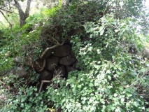S'Enalonga Nuraghe