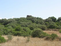 Oschina Nuraghe