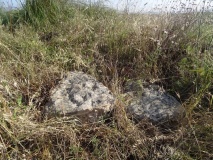 Bruncu 'e Forru Nuraghe