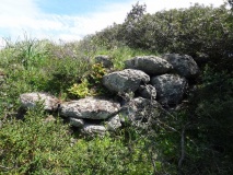 Casteddu Petrusu Nuraghe