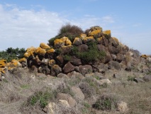 Caombus Nuraghe