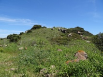 Giovanni Nieddu Nuraghe