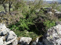 Su Carru Nuraghe