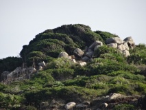 Sa Tiria Nuraghe