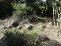 S'Ollastu Nuraghe