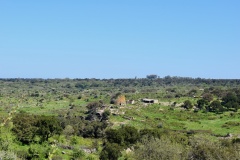 Abbauddi Nuraghe - PID:303586