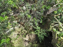 Perdu Atzeni Nuraghe