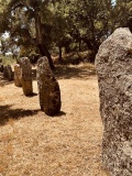 Biru 'e Concas Allineamenti