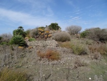 Siau Mannu Nuraghe