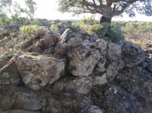 Sa Tanca Manna Nuraghe