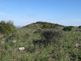 Sisini Nuraghe (Ossi)