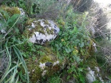 Click for full size image of Sisini Nuraghe (Ossi) (PID:271093) Sisini Nuraghe (Ossi)