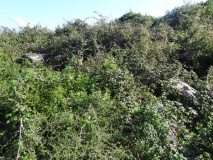 Tirocco Nuraghe