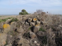 Su Archeddu 'e Su Procu Nuraghe