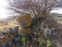 Cubingiu Nuraghe