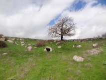 Tuide Dolmen