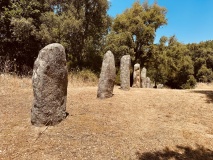 Biru 'e Concas Allineamenti