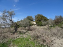 Ziprianu Nuraghe