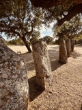 Pranu Mutteddu Stone row
