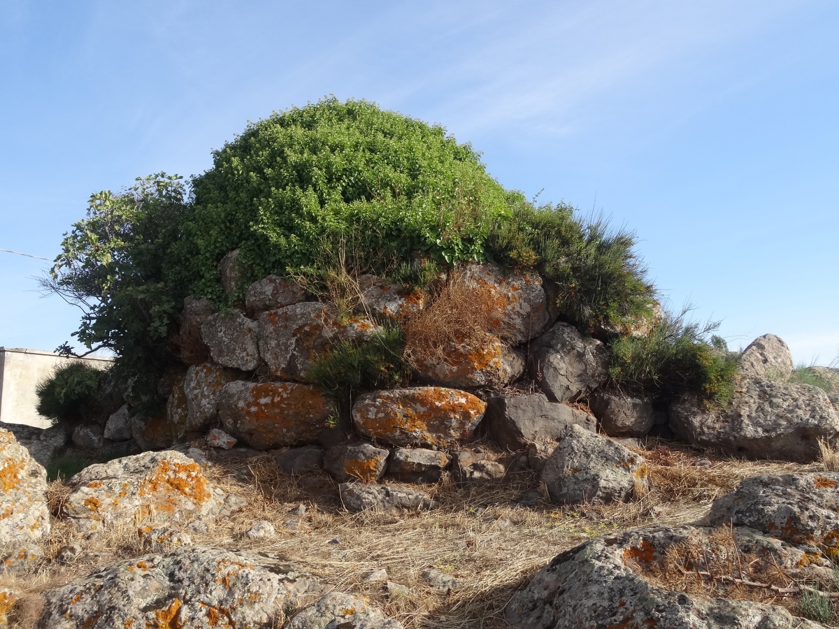 Click for the gallery page to add comments and vote (PID:238187) Tilibirche Nuraghe