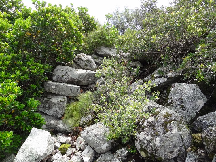 Trunconi Nuraghe