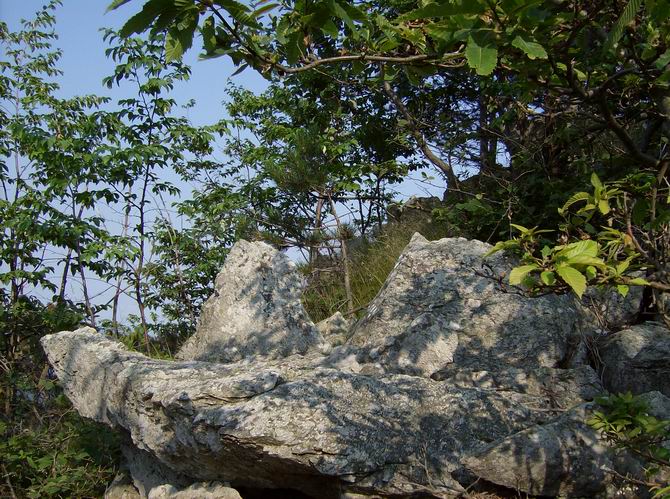 The Megaliths of Sparossino