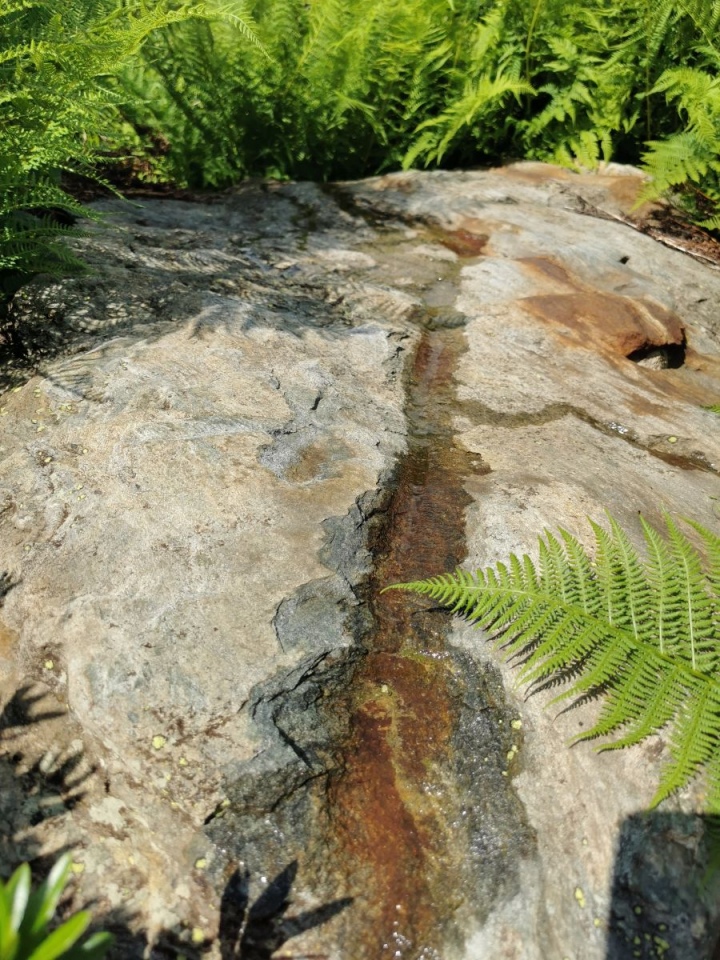 I sassi della Baitella Rock Art - Bykf 4
