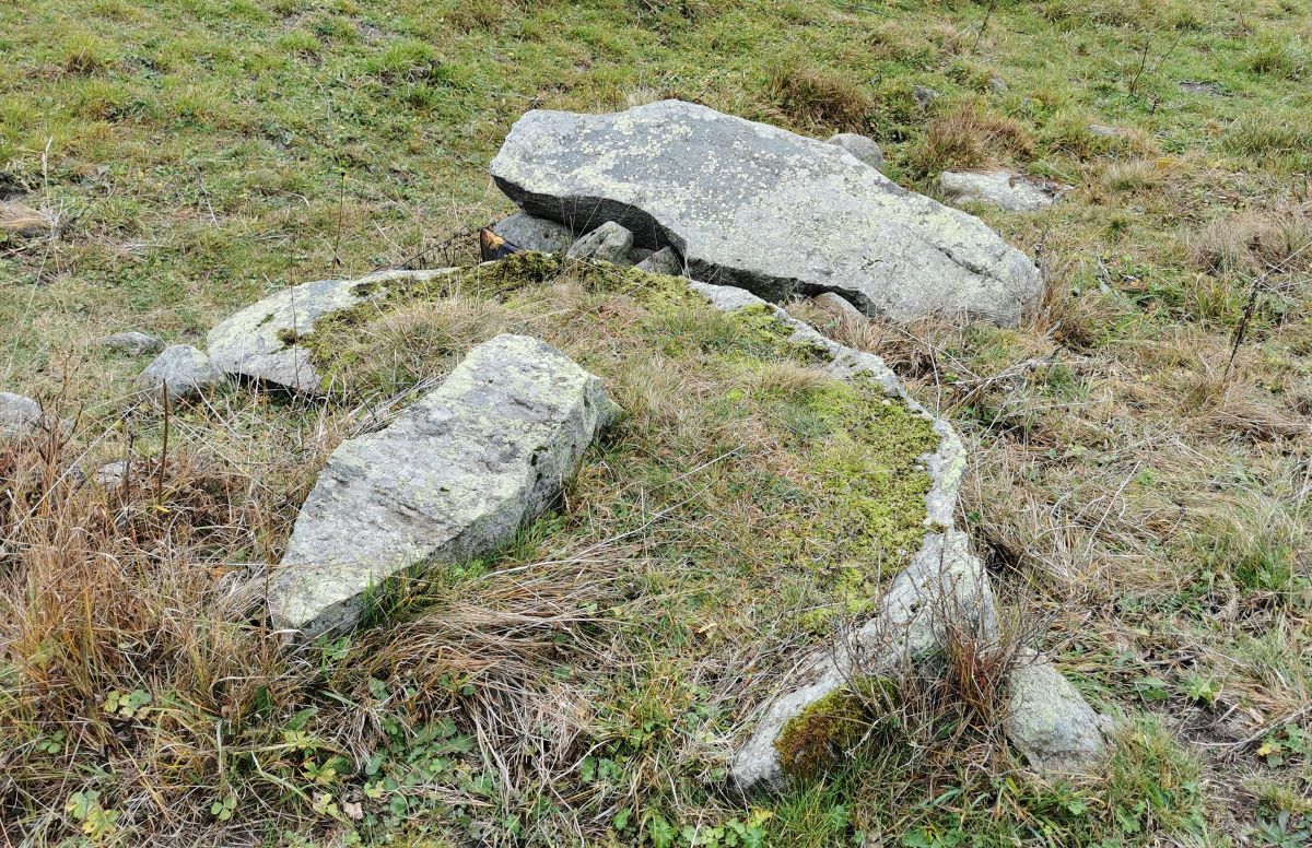 La Palude