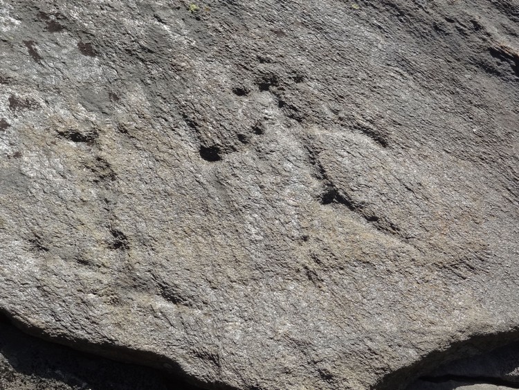 Human representations (probably Copper Age) on Roccia del Mago (photo taken on August 2014).
