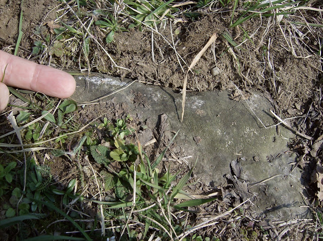 Site in Velmaio Lombardia Italy- A stones that surround the Menhir