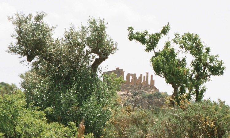 Click for the gallery page to add comments and vote (PID:28403) Valley of the Temples