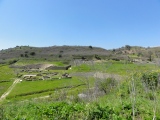 Morgantina