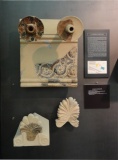 Archaeological museum (Gela)