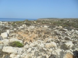 Lampedusa - PID:79978
