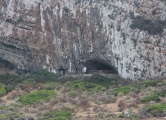 Grotta del Genovese