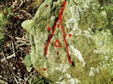 Ceresa Marked Stone - PID:48863
