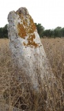 Monticelli Standing stone