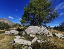 Alpe Cima